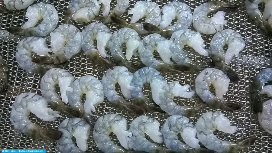 Raw Black Tiger Shrimp  PTO Semi I_Q_F